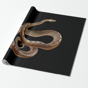 Snake - Black - Animal - Wrapping Paper