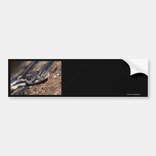 snake bumper sticker