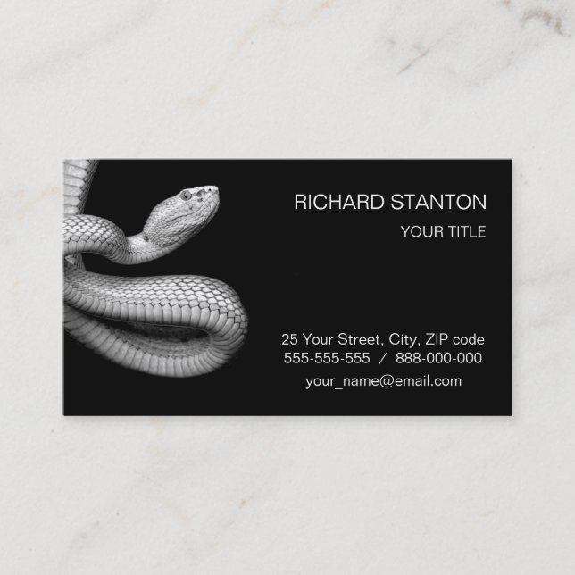Snake Business Card (Front)