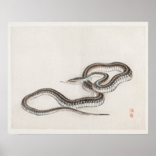 Snake by Kōno Bairei (1844-1895) Poster