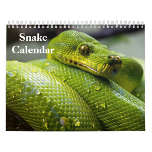 Snake Calendar 2026