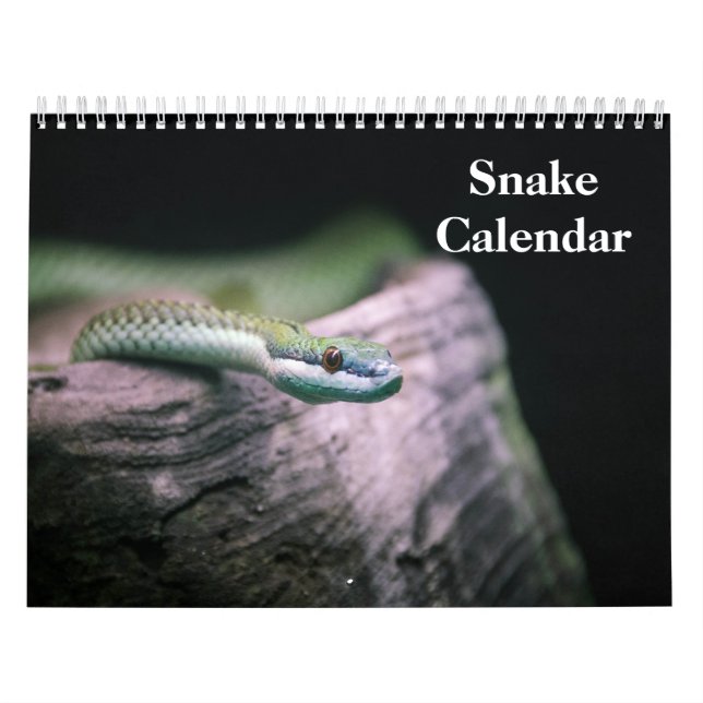Snake Calendar 2026 (Cover)