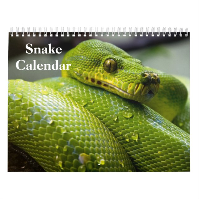 Snake Calendar 2027 (Cover)