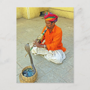Snake Charmer In India Postcard