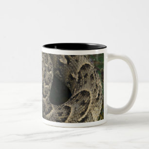 Snake Charmer's African Puff-adder Bitis Two-Tone Coffee Mug