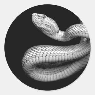 Snake Classic Round Sticker