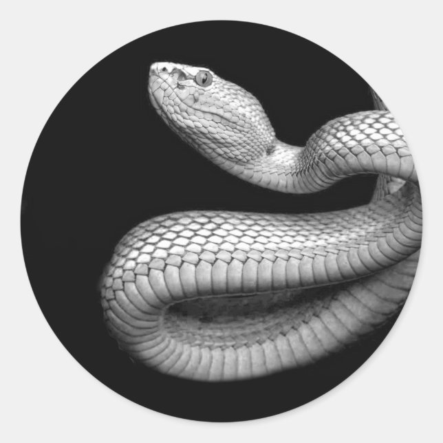 Snake Classic Round Sticker (Front)