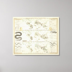 Snake Distributions Canvas Print