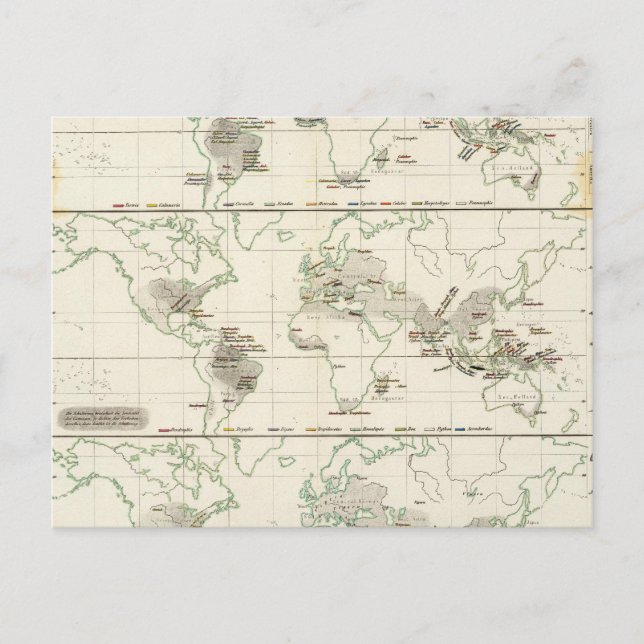 Snake Distributions Postcard (Front)