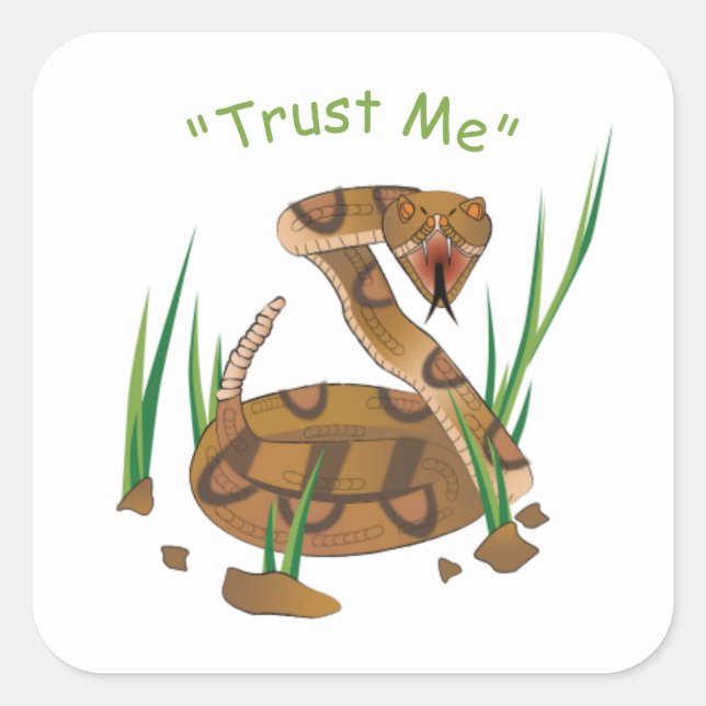 Snake in the Grass Square Sticker (Front)