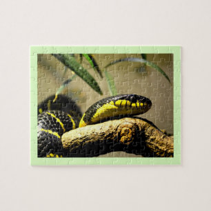 Snake Jigsaw Puzzle