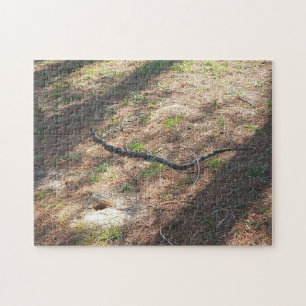 Snake Jigsaw Puzzle