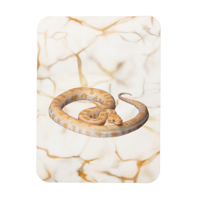 snake marbre magnet (Vertical)