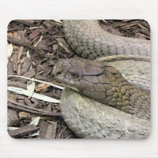 Snake Mouse Mat (Front)