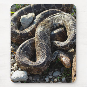 Snake Mouse Mat