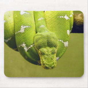 Snake Mouse Mat