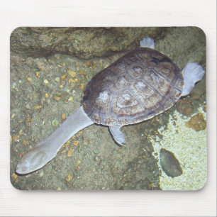Snake Neck Turtle Mousepad #3