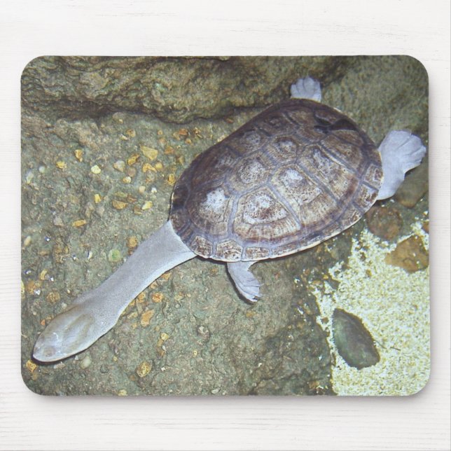 Snake Neck Turtle Mousepad #3 (Front)