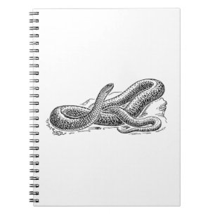 Snake Notebook