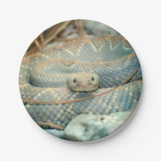 Snake Paper Plate