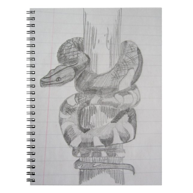 Snake Pencil Drawing Notebook (Front)