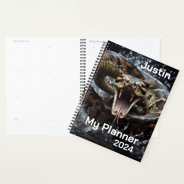 Snake Planner (Display)
