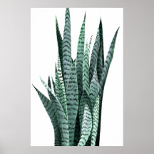Snake Plant Acrylic Painting