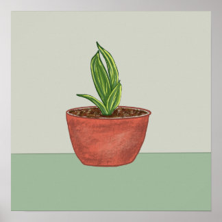 Snake Plant Illustration Poster