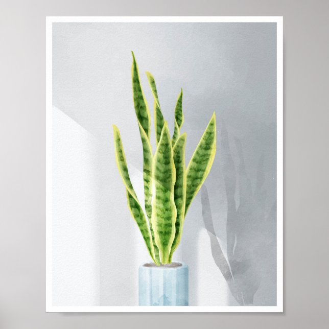 Snake plant, Mother-in-law tongue, Sansevieria Poster (Front)