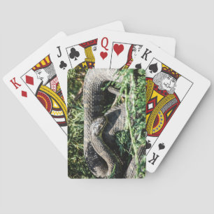 Snake Playing Cards
