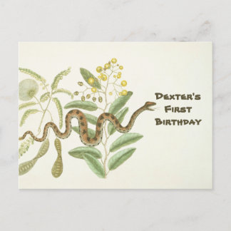Snake postcard