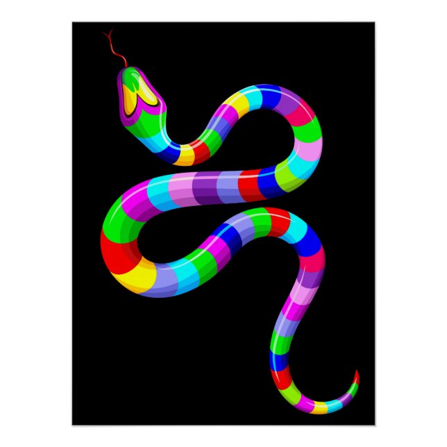 Snake Psychedelic Rainbow Colours Poster (Front)