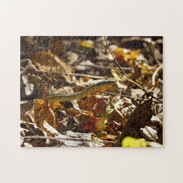 Snake Puzzle (Horizontal)