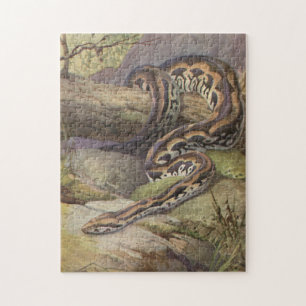 Snake Puzzle Illustration