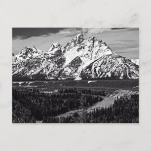 Snake River Curve - The Grand Tetons Postcard