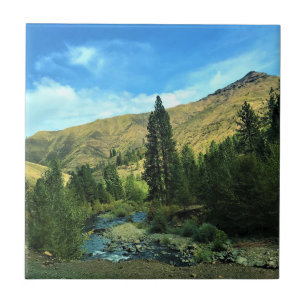 Snake River, Wallowa County, OR Tile