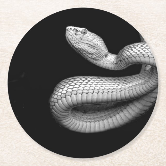 Snake Round Paper Coaster (Front)