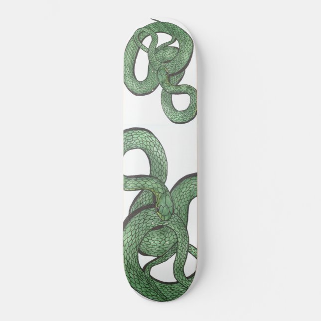 Snake Skateboard (Front)