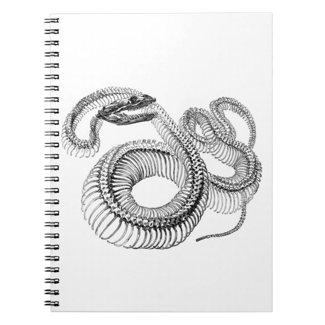 Snake Skeleton Notebook (Front)