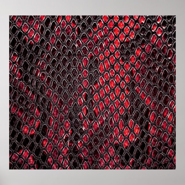 Snake skin: abstract background. poster (Front)