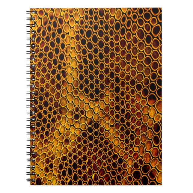 Snake skin background notebook (Front)