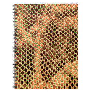 Snake skin background notebook