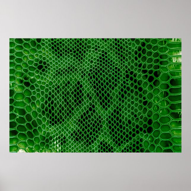 Snake skin background poster (Front)