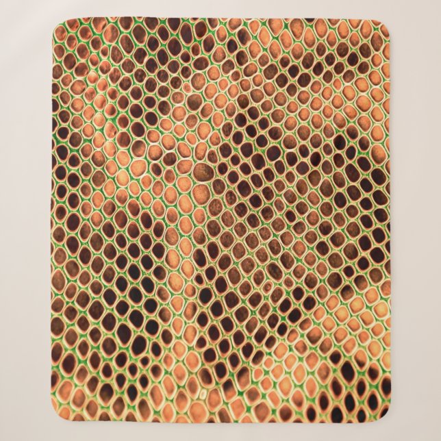 Snake skin background sherpa blanket (Front)