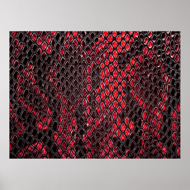 Snake skin, can use as background poster (Front)