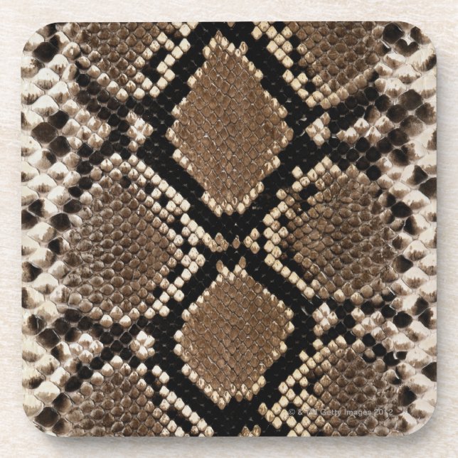 Snake Skin Coaster (Front)