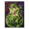 Snake Skin Guitar Poster