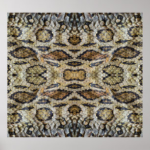 Snake Skin Pattern Texture Poster