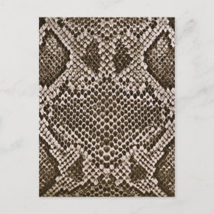 Snake skin postcard