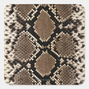 Snake Skin Square Sticker